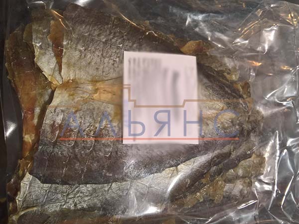 Царский полосатик с перцем в Орле